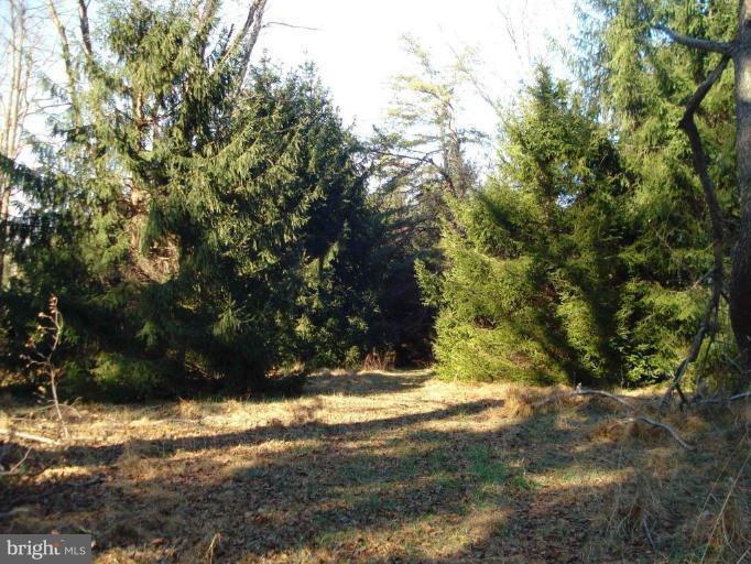 10517 Vale Road Oakton, VA 22124 - Photo 3 of 9 Wooded View / Acreage 2