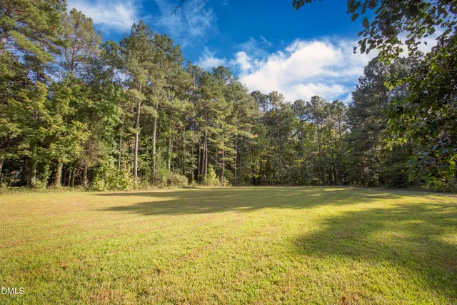 a view of a swimming pool and trees in the background