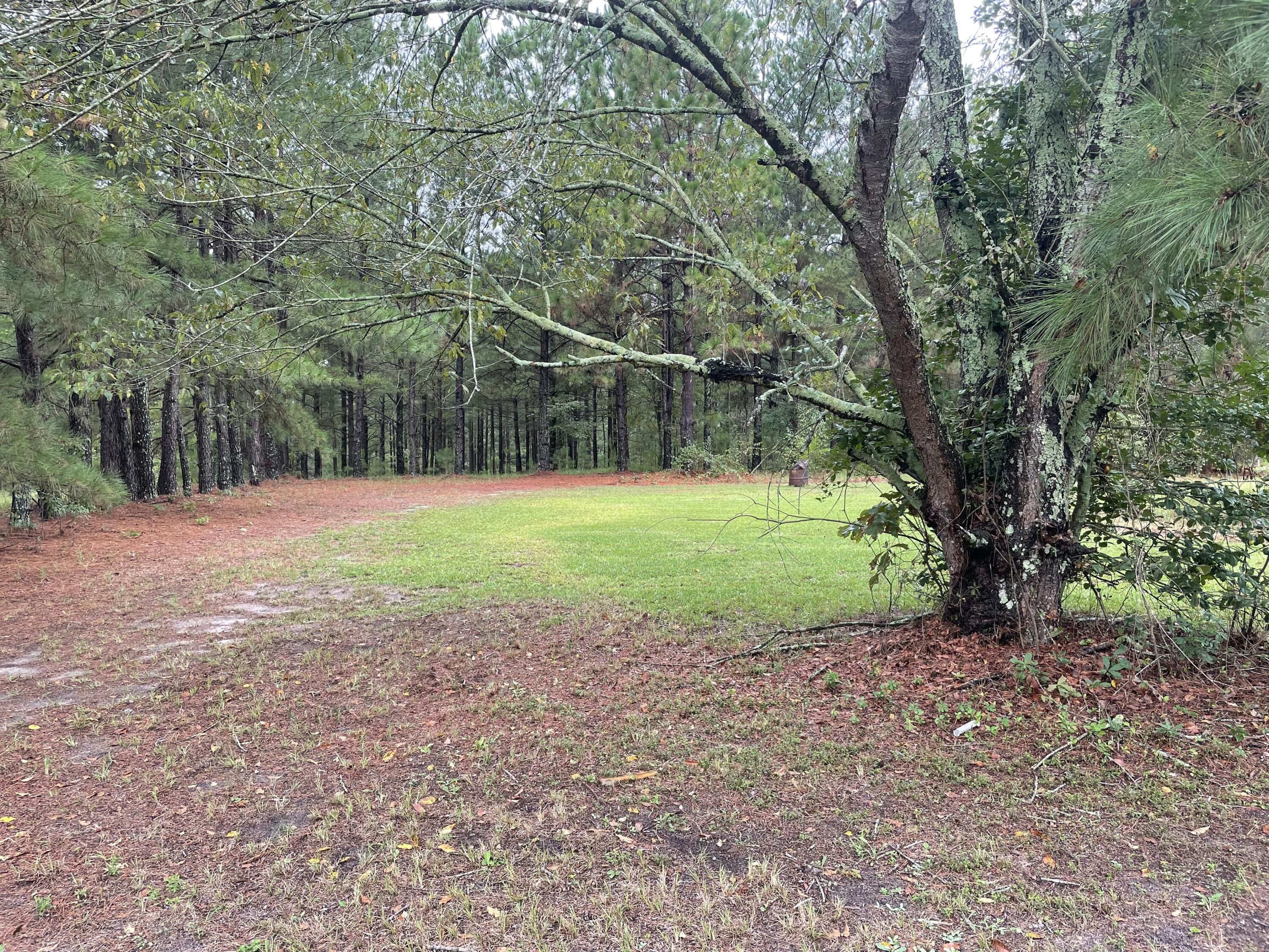 113 Fox Road Aiken, SC 29805 - Photo 6 of 13 a backyard of a house with lots of green space