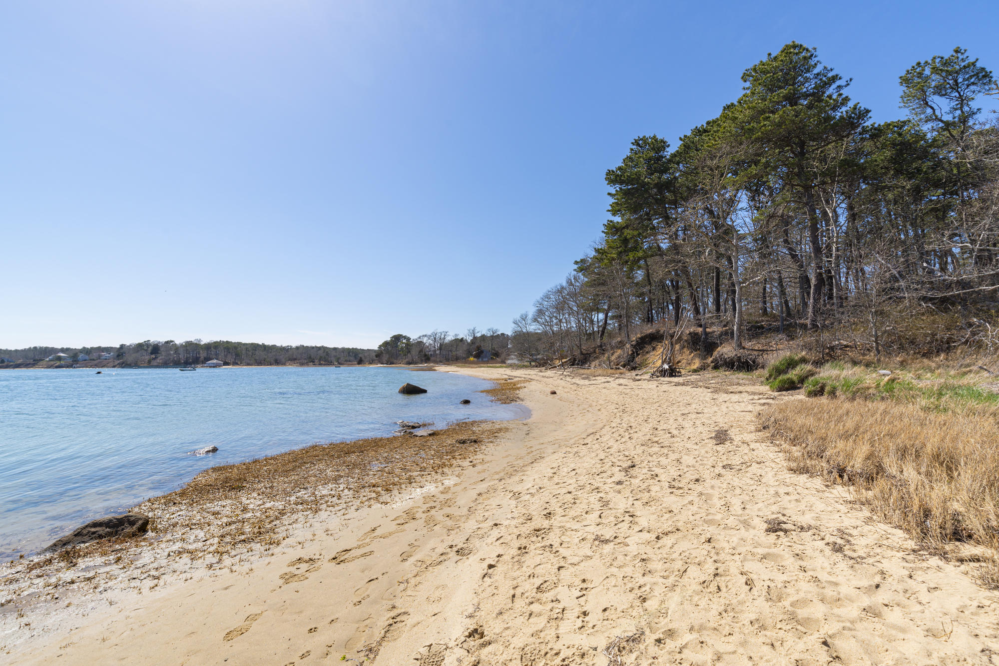 138 Namequoit Road Orleans, MA 02653 - Photo 42 of 50 a view of ocean and with trees