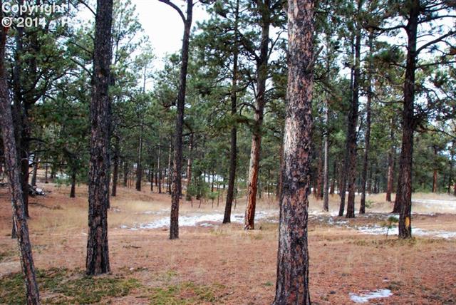9575 Hardin Road Colorado Springs, CO 80908 - Photo 4 of 24 The lot is 5 treed acres in Black Forest, completely Untouched by the fire.
