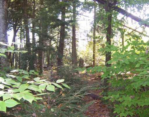 Lot 46 Beech Ridge Road Ellsworth, ME 04605 - Photo 2 of 8 Land.