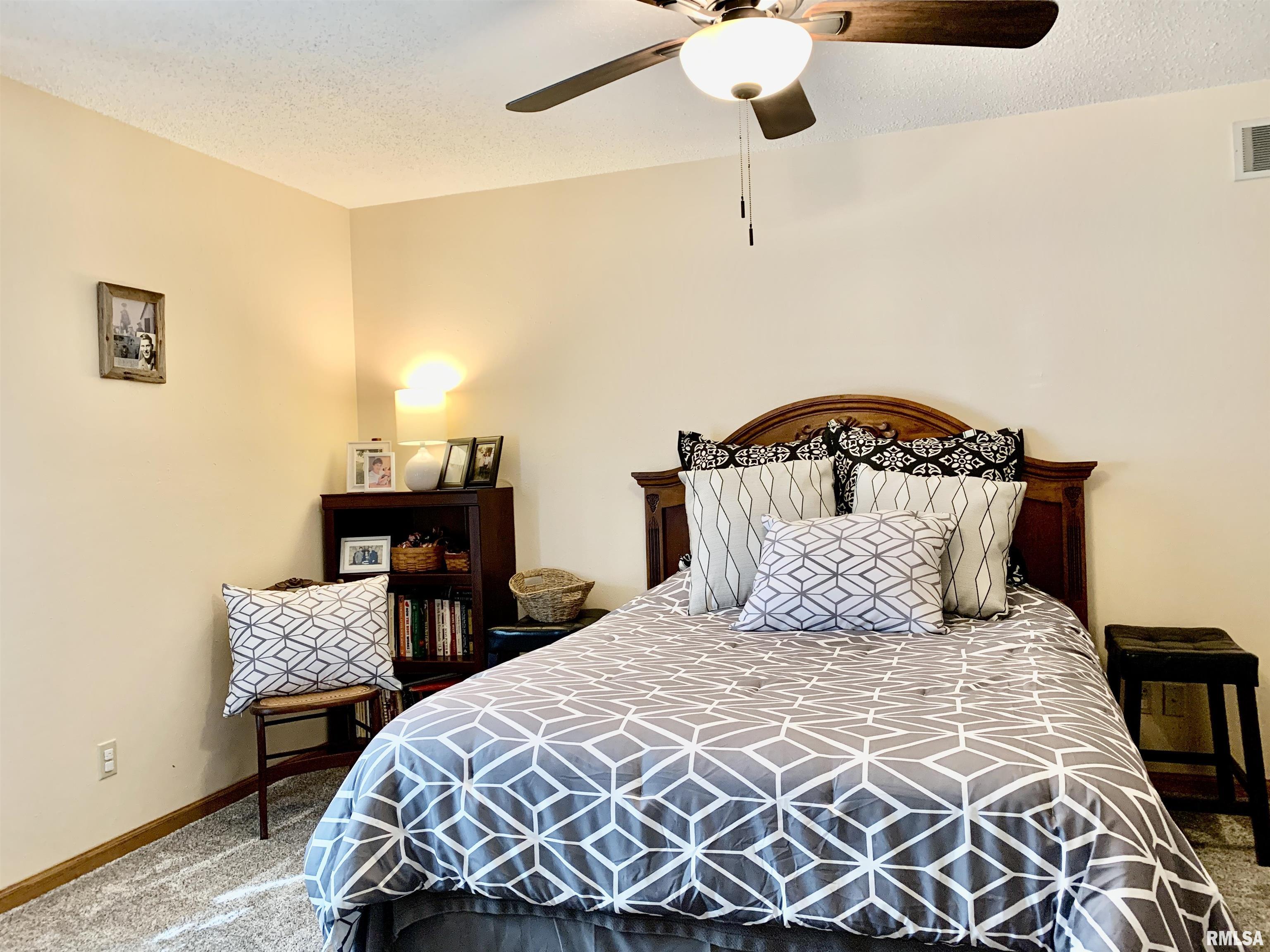 2099 New Lake Road Jacksonville, IL 62650 - Photo 57 of 74 Gallery Image 57