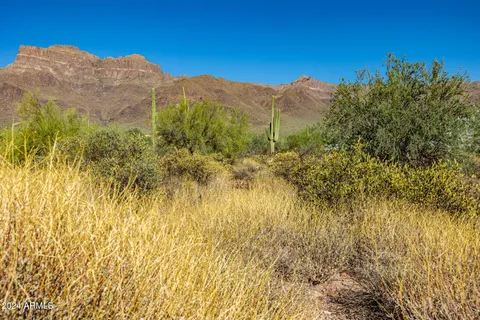 $449,000 | 7255 East Grand View Lane, Unit 86, Gold Canyon, AZ 85119