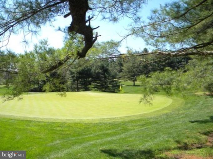 1808 Golf View Court Reston, VA 20190 - Photo 18 of 22 Golf Course View