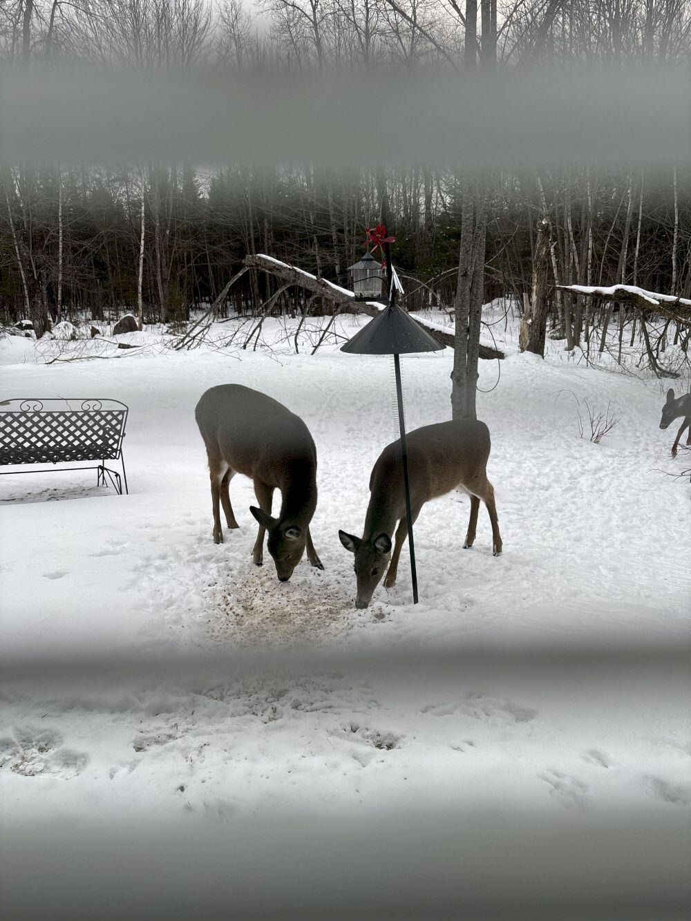 340 Campground Road North Anson, ME 04958 - Photo 28 of 29 IMG_0387_result