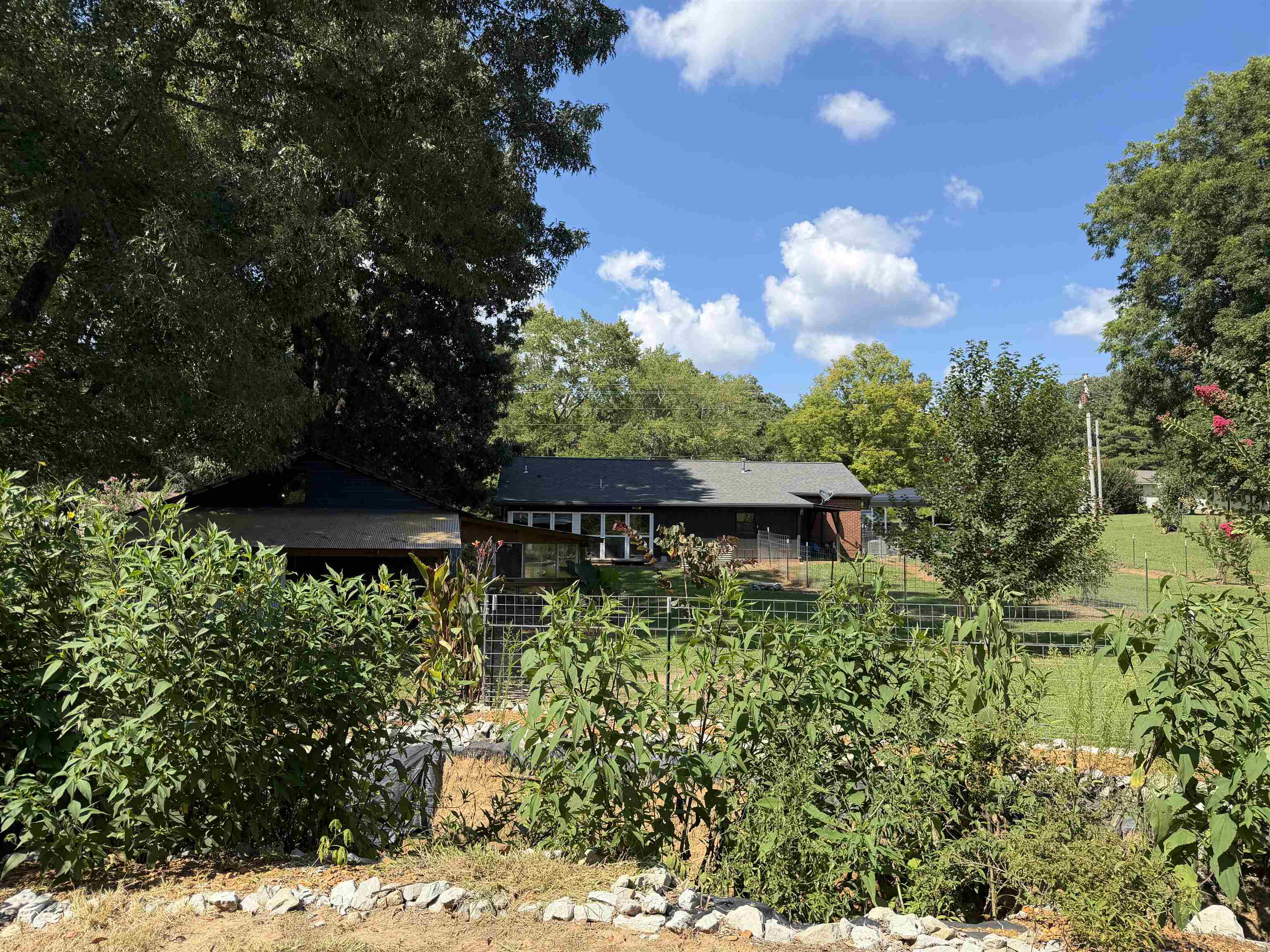 4190 Henderson Road Sardis, TN 38371 - Photo 24 of 40 Gallery Image 24