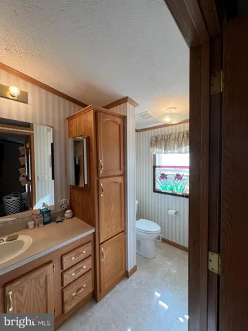 a bathroom with sink a toilet and a mirror