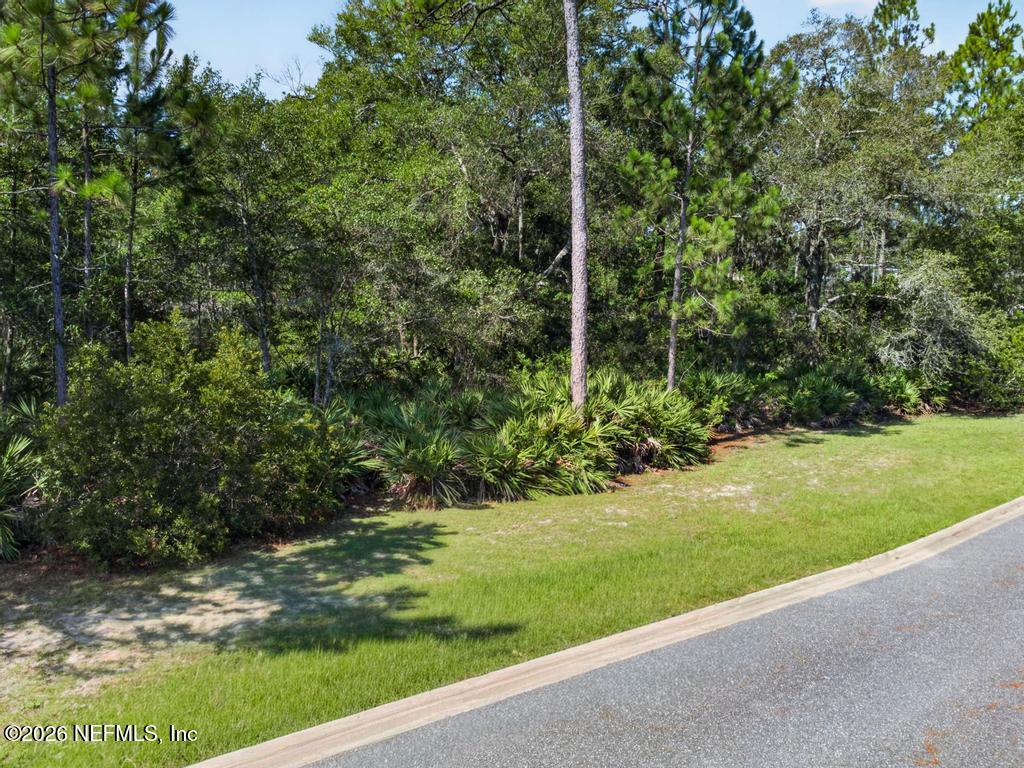 96022 Captains Pointe Road Yulee, FL 32097 - Photo 10 of 19 a view of a garden with a tree