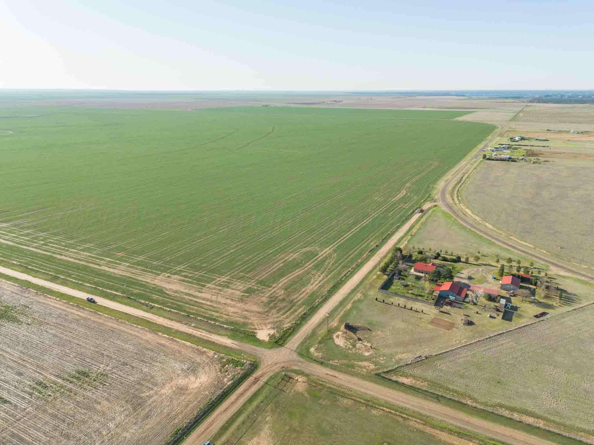 1-275.4 1-275.4 Acres Pullman Road Claude, TX 79019 - Photo 20 of 46 Friemel_NW-16