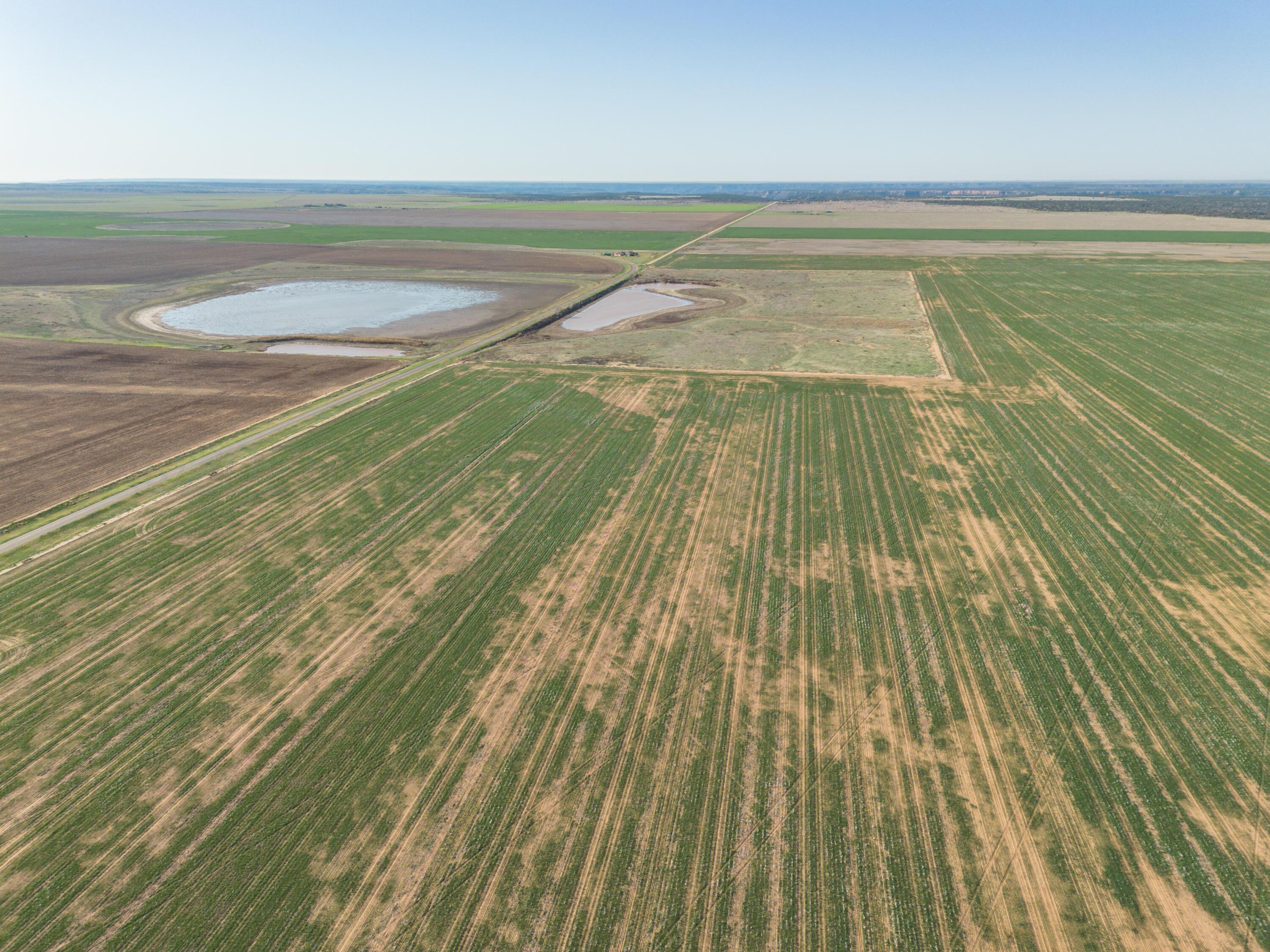 1-275.4 1-275.4 Acres Pullman Road Claude, TX 79019 - Photo 24 of 46 002