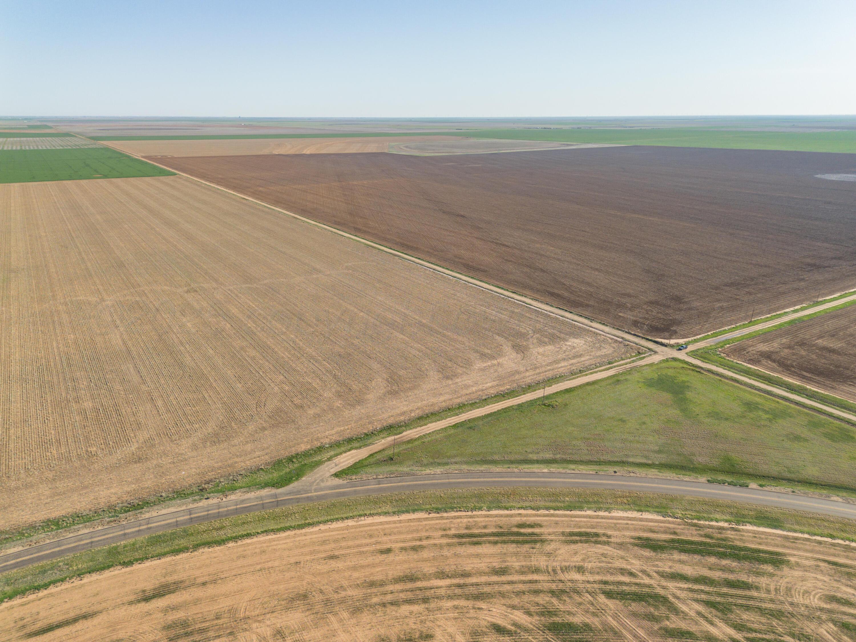 1-275.4 1-275.4 Acres Pullman Road Claude, TX 79019 - Photo 27 of 46 005