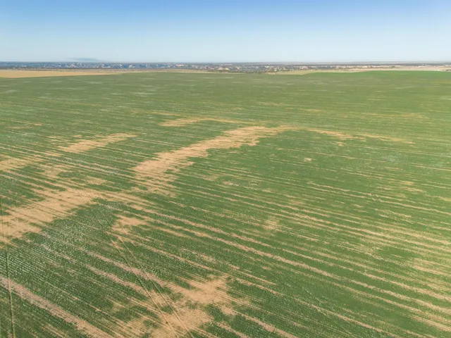 a view of an ocean beach and an ocean view
