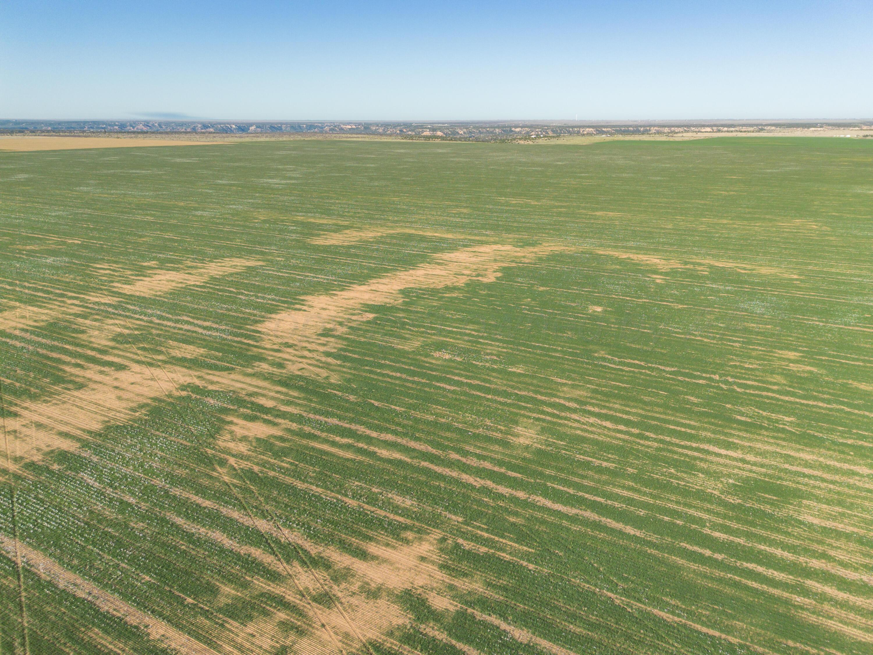 1-275.4 1-275.4 Acres Pullman Road Claude, TX 79019 - Photo 28 of 46 006