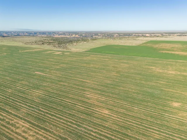 a view of a ocean beach