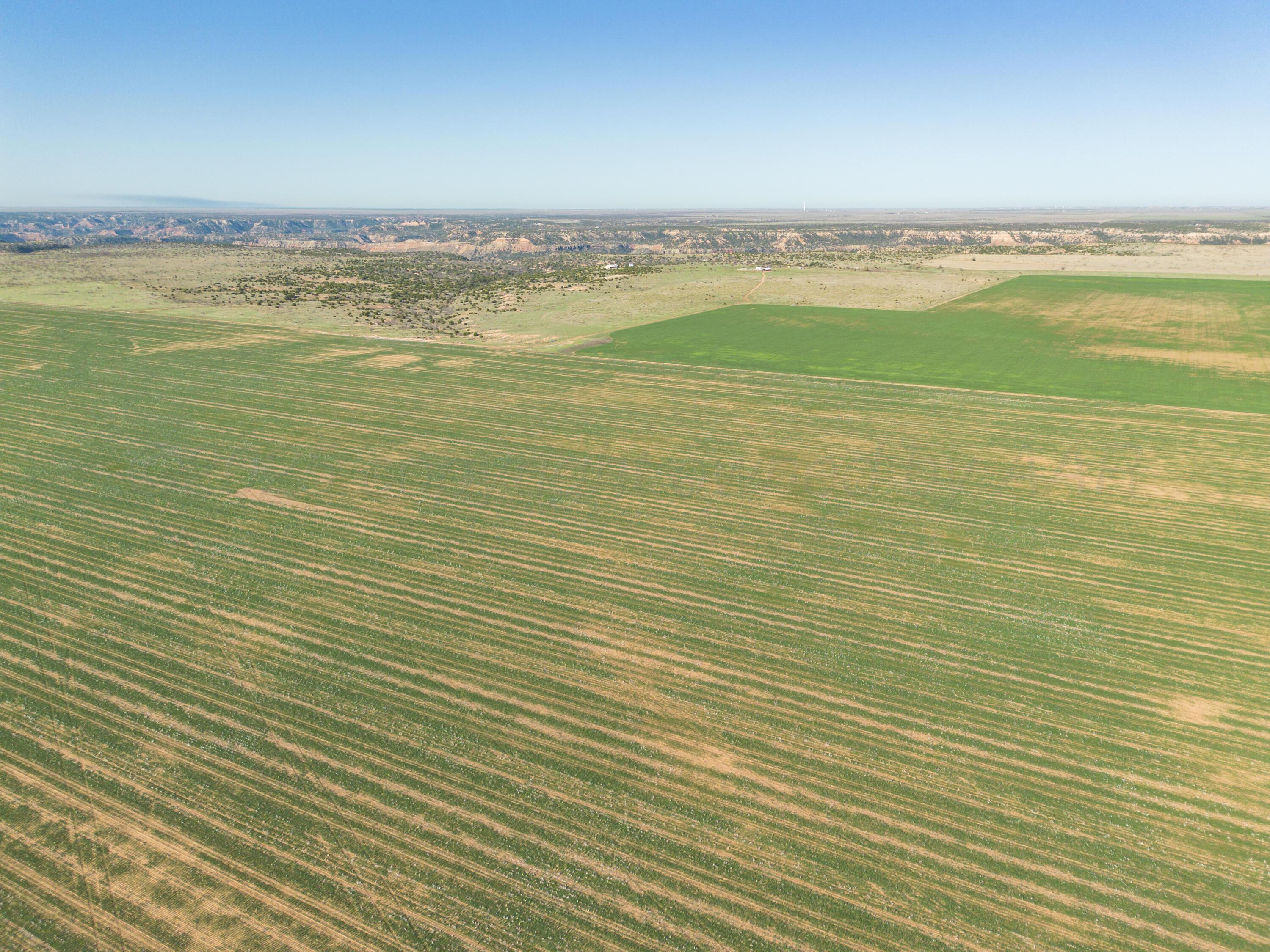 1-275.4 1-275.4 Acres Pullman Road Claude, TX 79019 - Photo 29 of 46 007