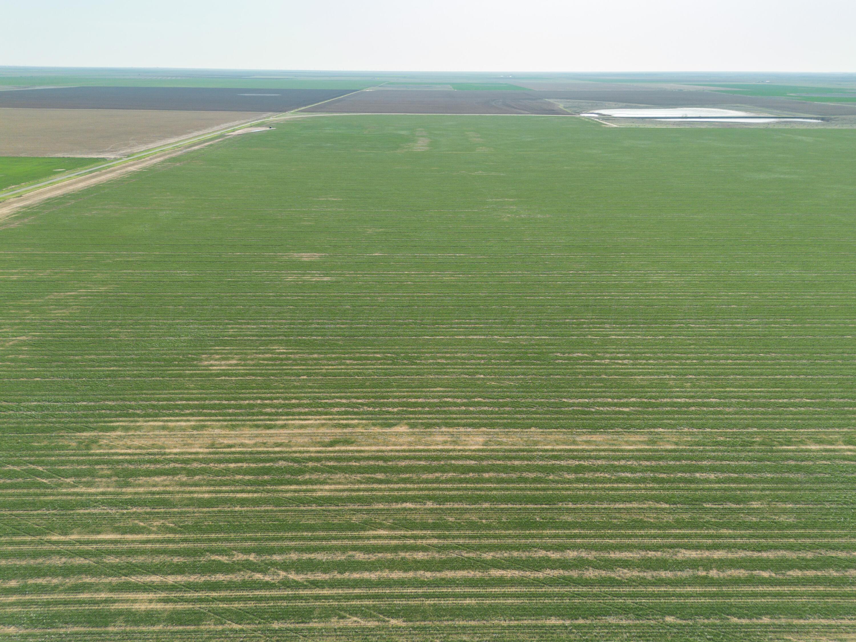 1-275.4 1-275.4 Acres Pullman Road Claude, TX 79019 - Photo 31 of 46 009