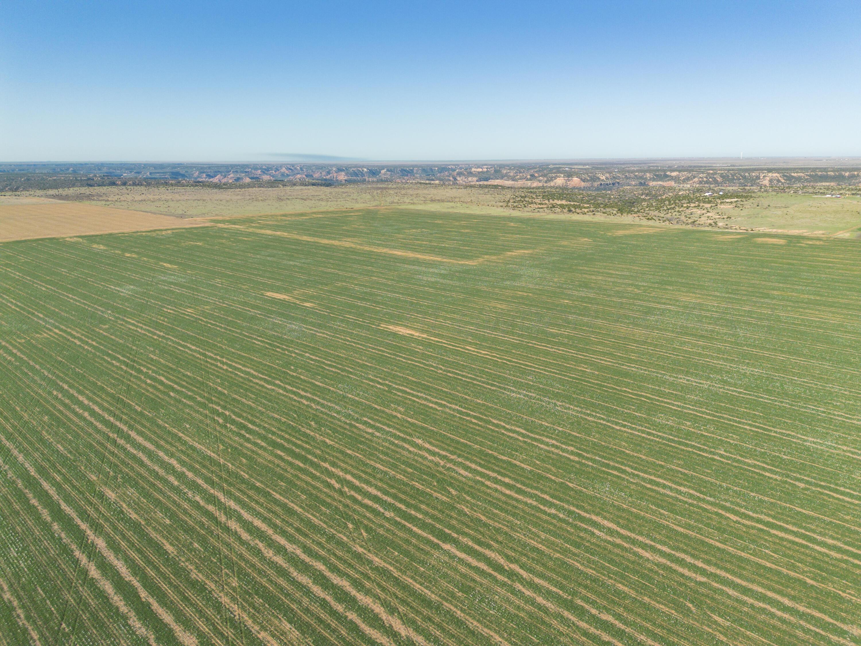 1-275.4 1-275.4 Acres Pullman Road Claude, TX 79019 - Photo 32 of 46 010