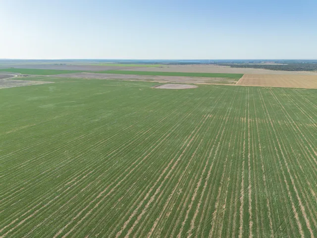 a view of an ocean and beach