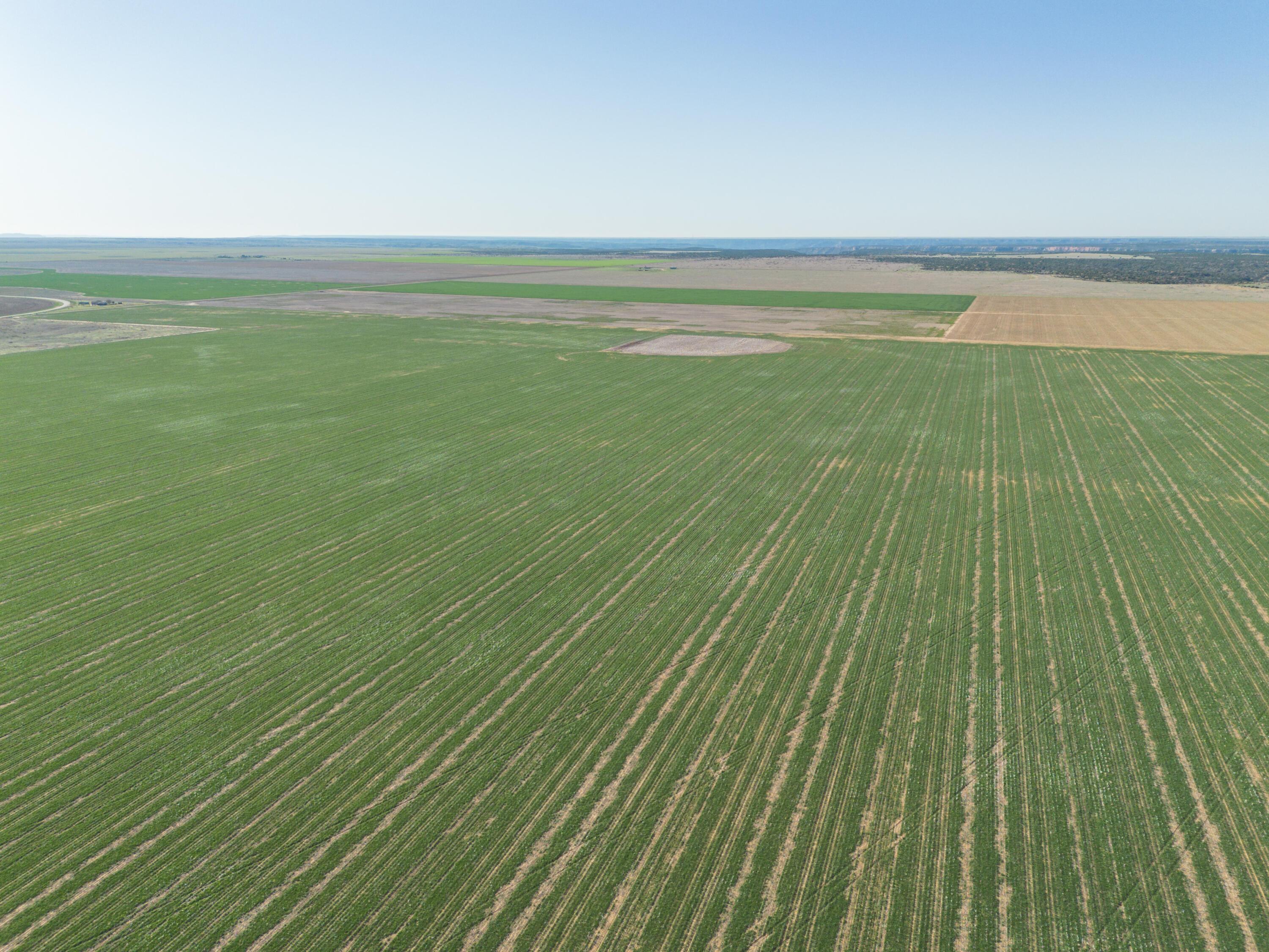1-275.4 1-275.4 Acres Pullman Road Claude, TX 79019 - Photo 33 of 46 011