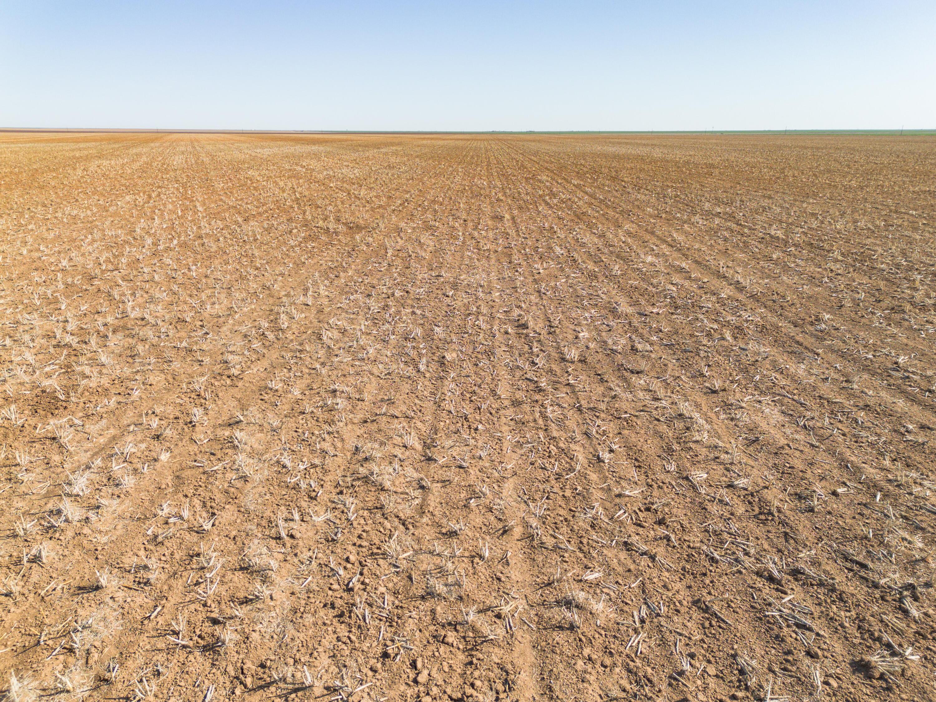 1-275.4 1-275.4 Acres Pullman Road Claude, TX 79019 - Photo 46 of 46 023