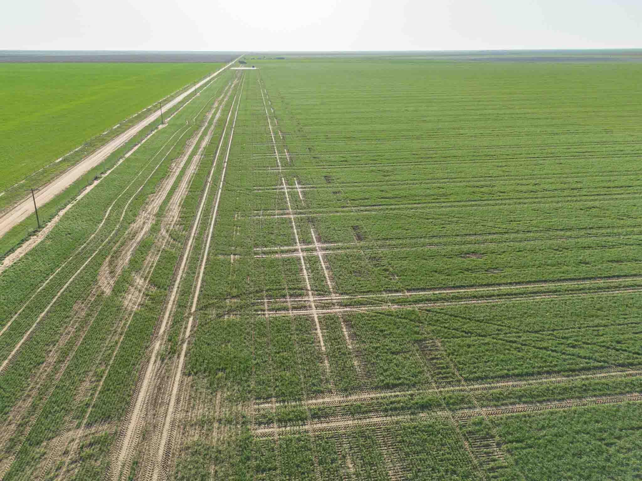 1-275.4 1-275.4 Acres Pullman Road Claude, TX 79019 - Photo 7 of 46 Friemel_NW-3