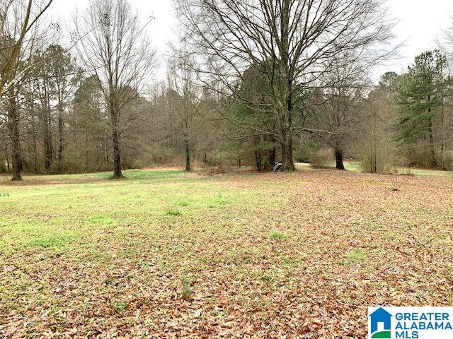 16 Old Choccolocco Road Anniston, AL 36207 - Photo 14 of 15