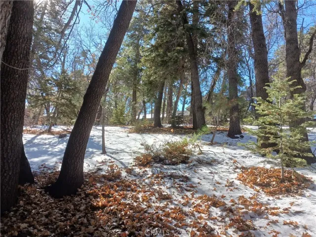 a view of outdoor space with trees