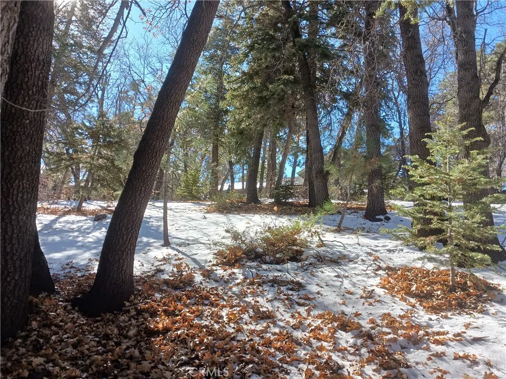 0 Columbine Drive Irvine, CA 92604 - Photo 2 of 9 a view of outdoor space with trees