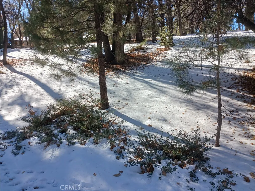 0 Columbine Drive Irvine, CA 92604 - Photo 6 of 9 a view of dirt yard with a tree