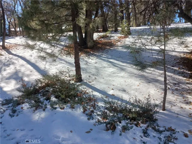 a view of dirt yard with a tree