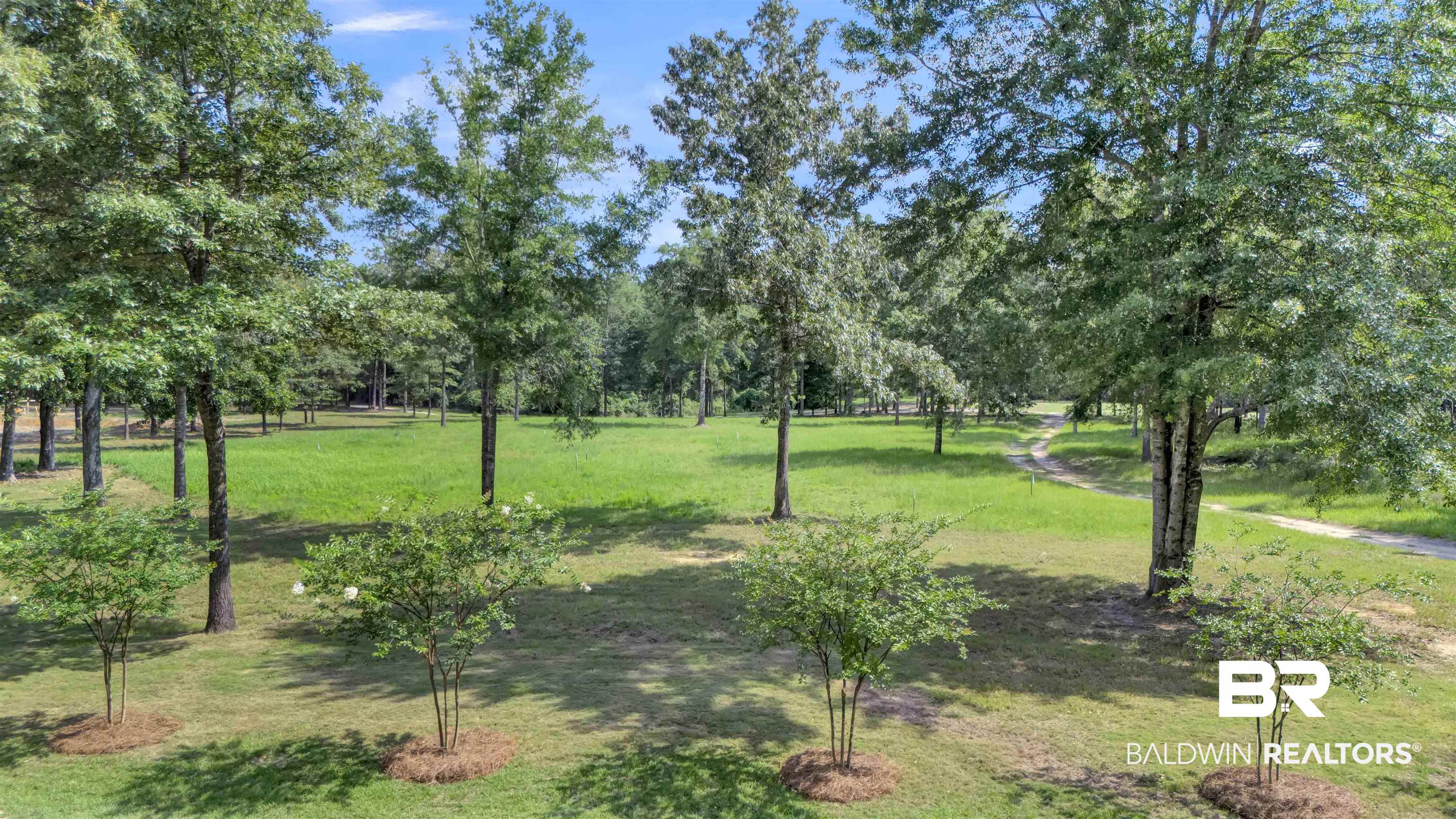 33579 Steelwood Ridge Road Loxley, AL 36551 - Photo 5 of 39 Gallery Image 5
