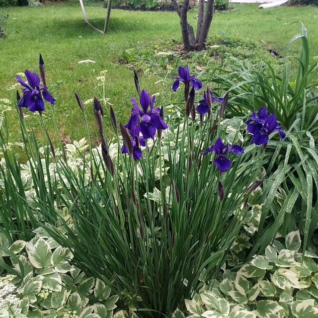 852 Innes Street Northeast, Unit 2 Grand Rapids, MI 49503 - Photo 21 of 25 Resized_20250604_085000