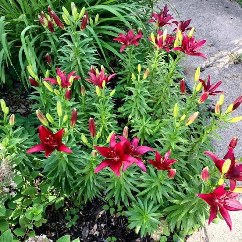 852 Innes Street Northeast, Unit 2 Grand Rapids, MI 49503 - Photo 22 of 25 Resized_20250626_092134