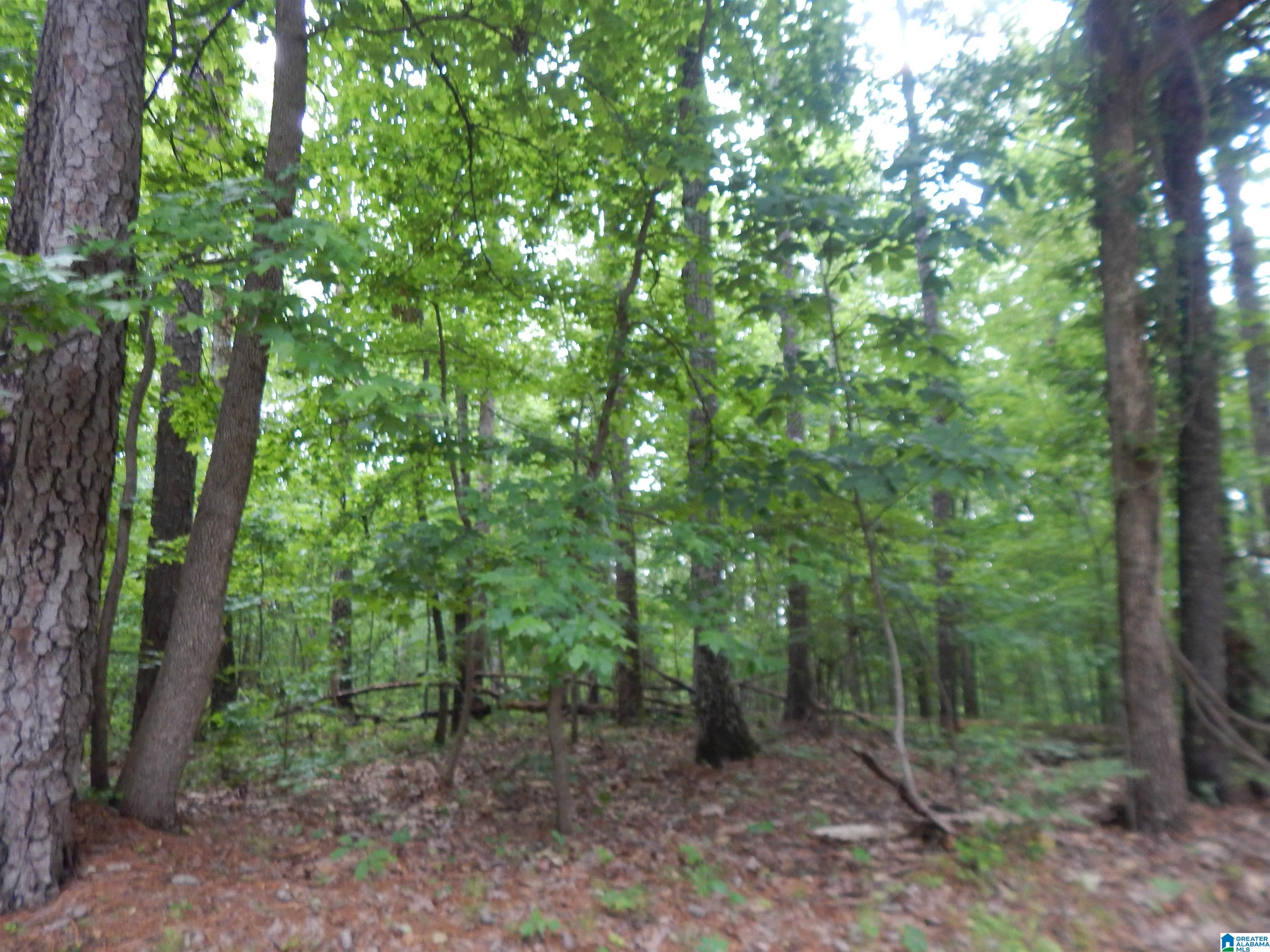 474 Caffee Creek Road Woodstock, AL 35188 - Photo 17 of 21