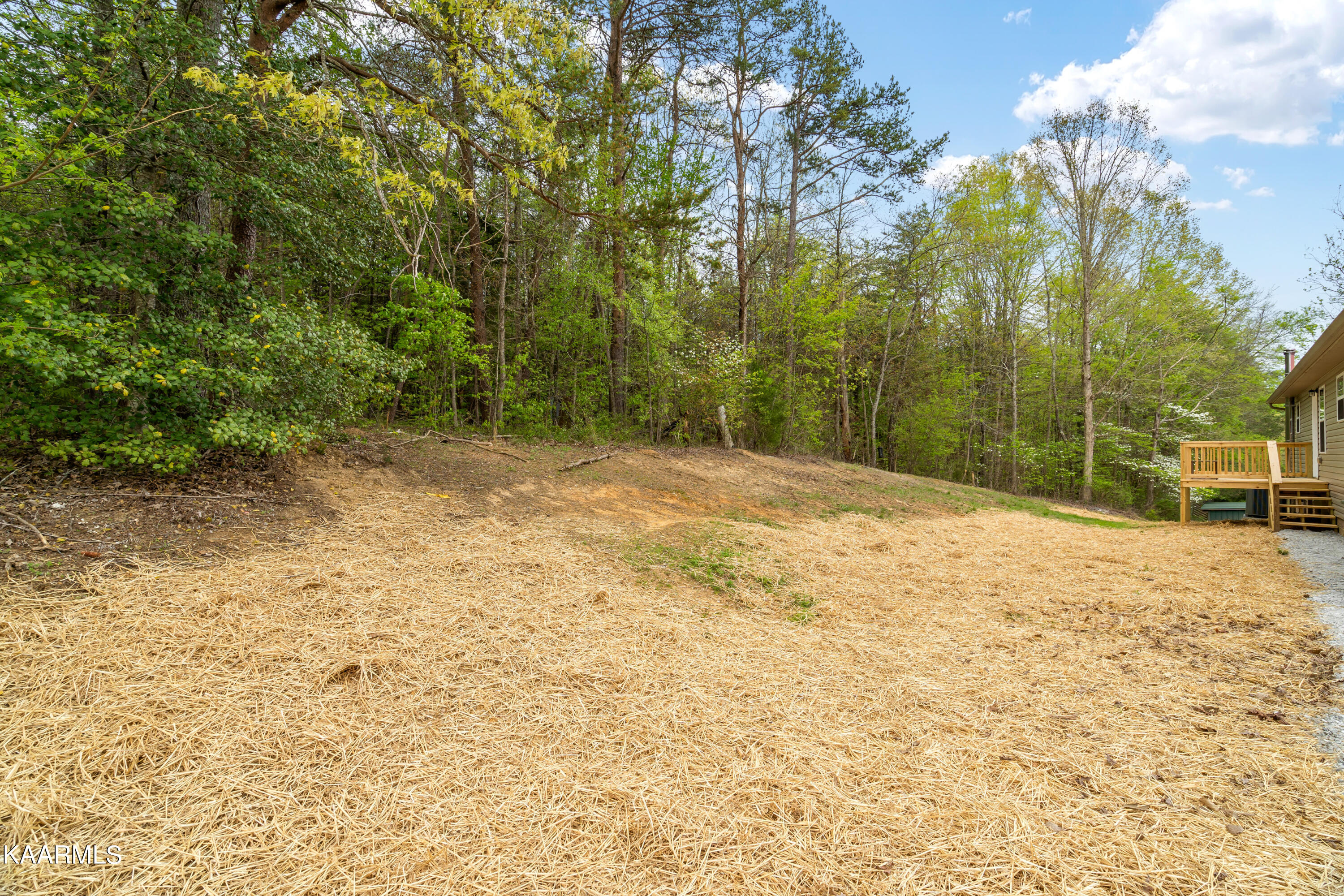 175 Cedar Lane Road Madisonville, TN 37354 - Photo 45 of 60 175 Cedar Lane Rd-38