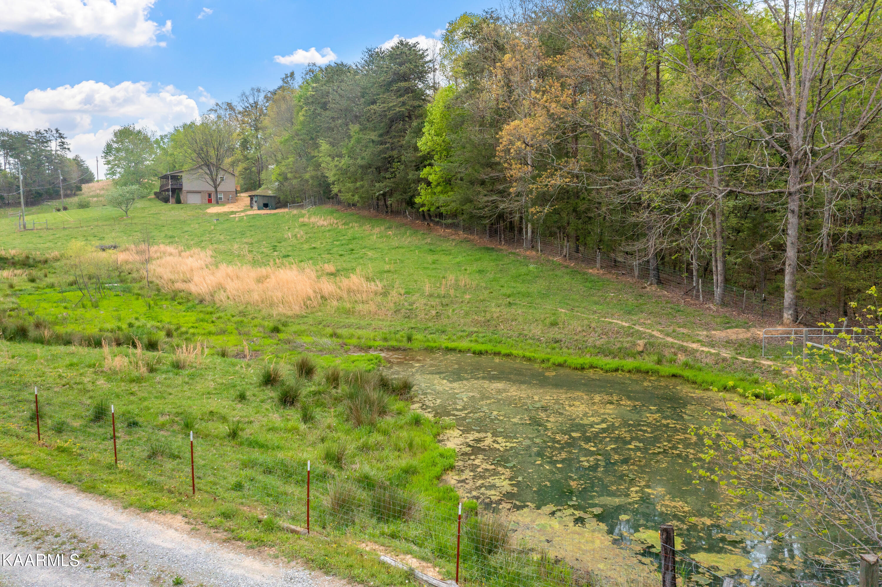 175 Cedar Lane Road Madisonville, TN 37354 - Photo 54 of 60 175 Cedar Lane Rd-54