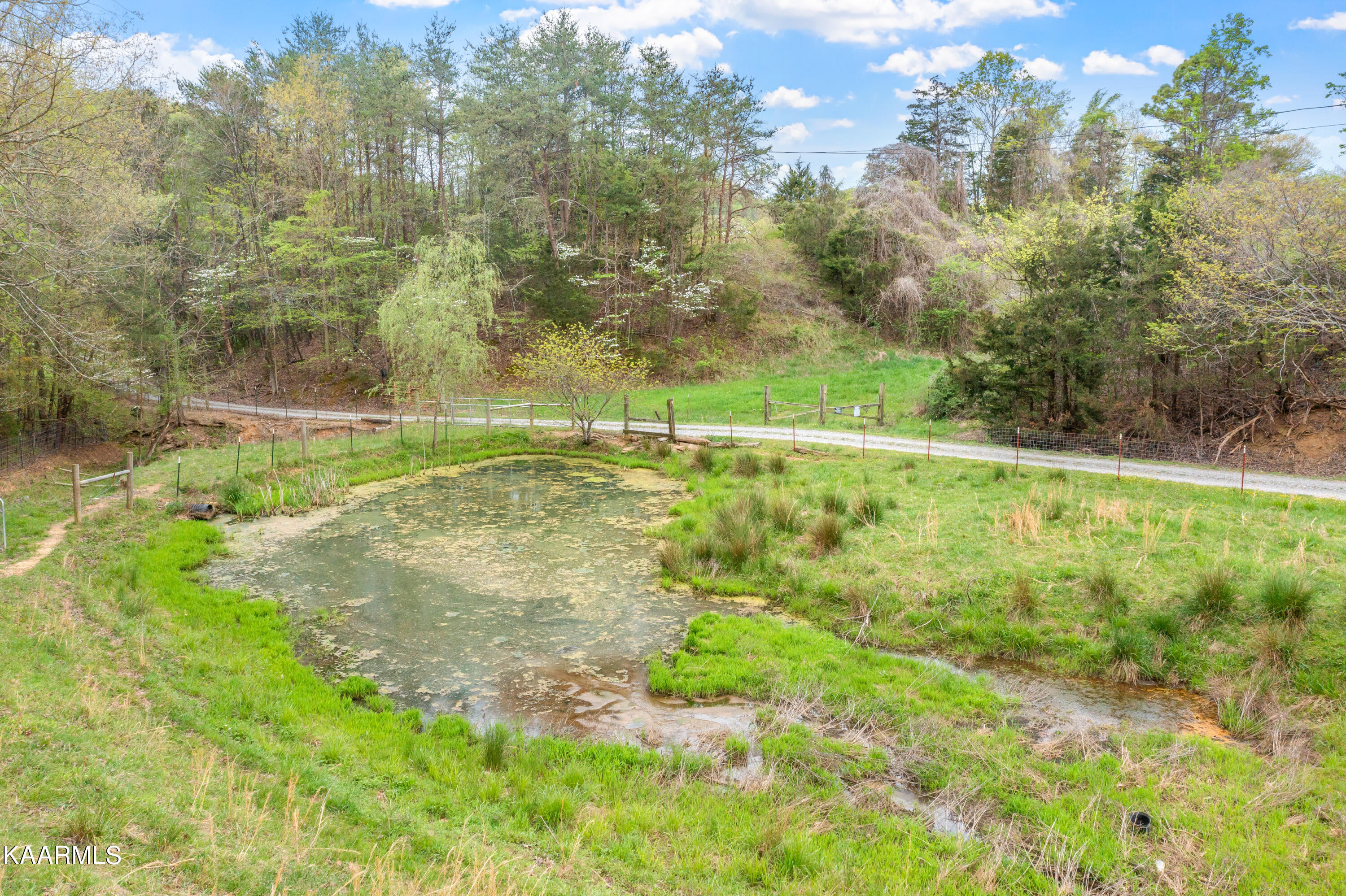 175 Cedar Lane Road Madisonville, TN 37354 - Photo 55 of 60 175 Cedar Lane Rd-55