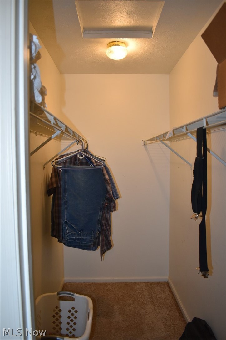 18859 Forbes Road Wellsville, OH 43968 - Photo 15 of 30 Master walk in closet