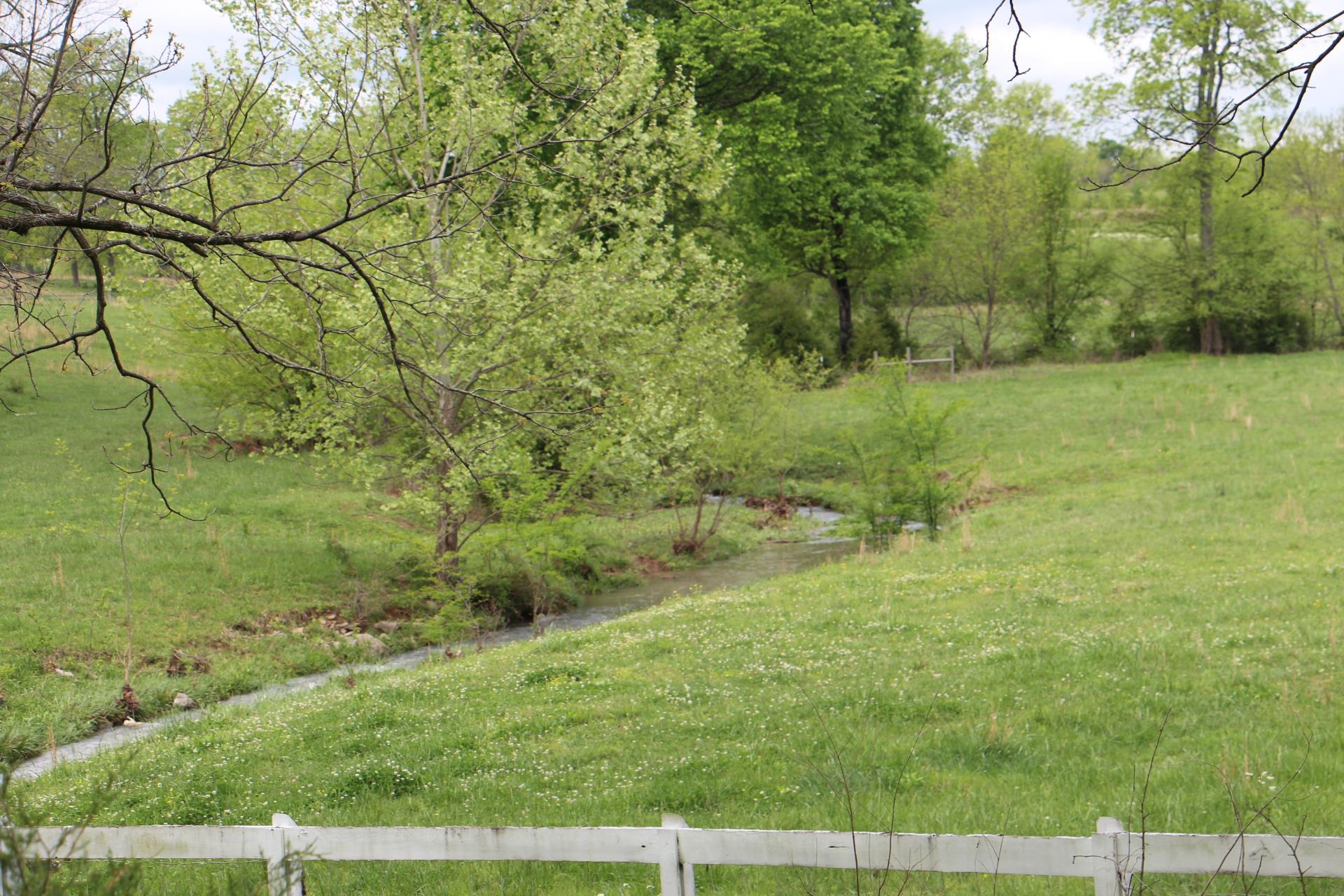 4800 Rock House Road Portland, TN 37148 - Photo 11 of 22