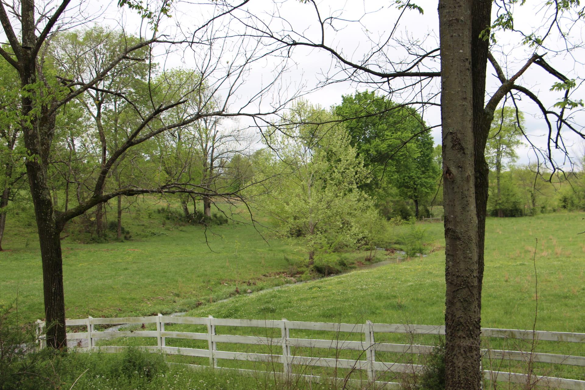4800 Rock House Road Portland, TN 37148 - Photo 13 of 22