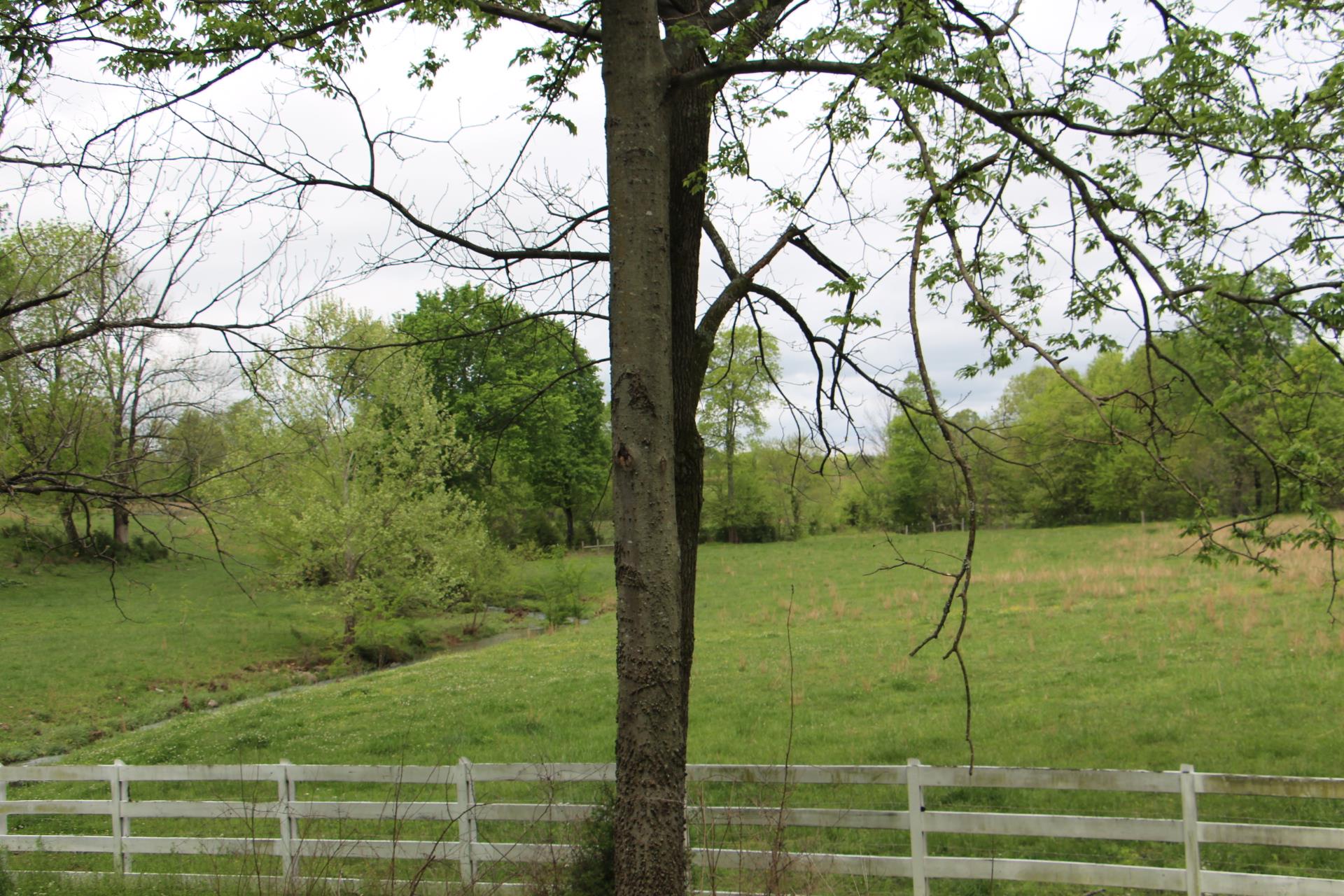 4800 Rock House Road Portland, TN 37148 - Photo 14 of 22