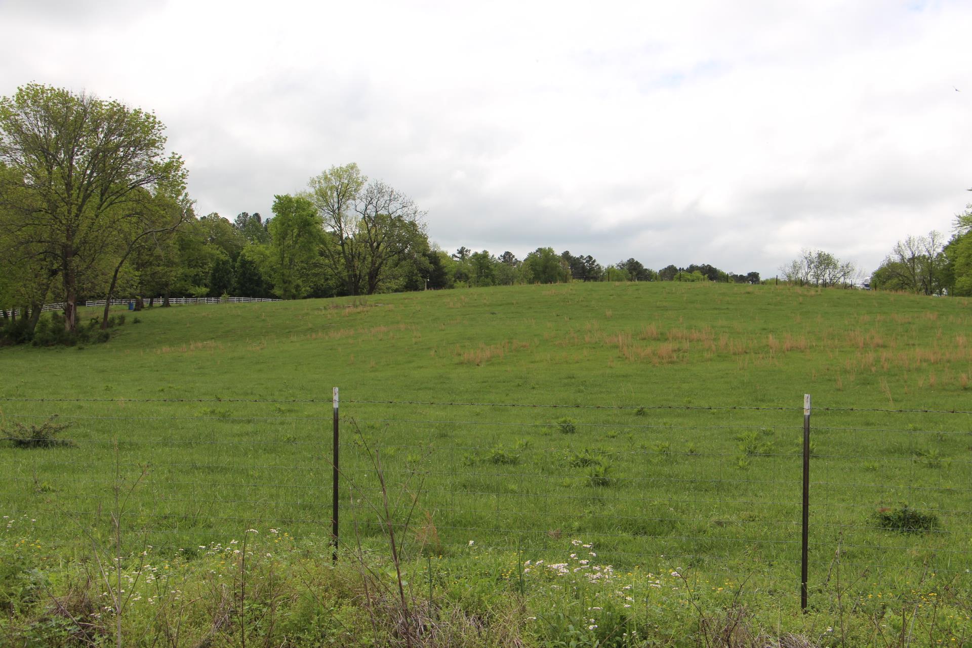 4800 Rock House Road Portland, TN 37148 - Photo 15 of 22