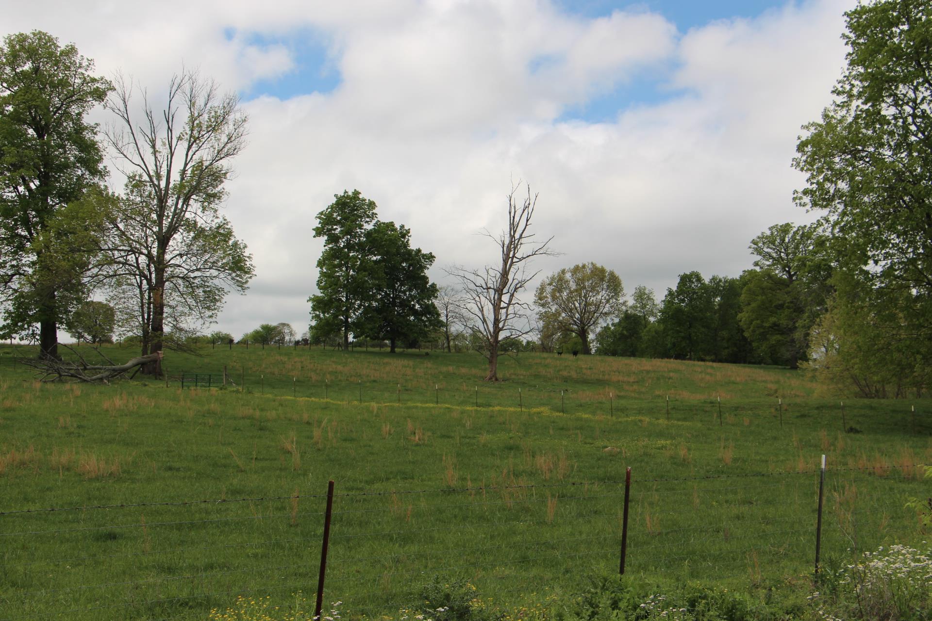 4800 Rock House Road Portland, TN 37148 - Photo 16 of 22