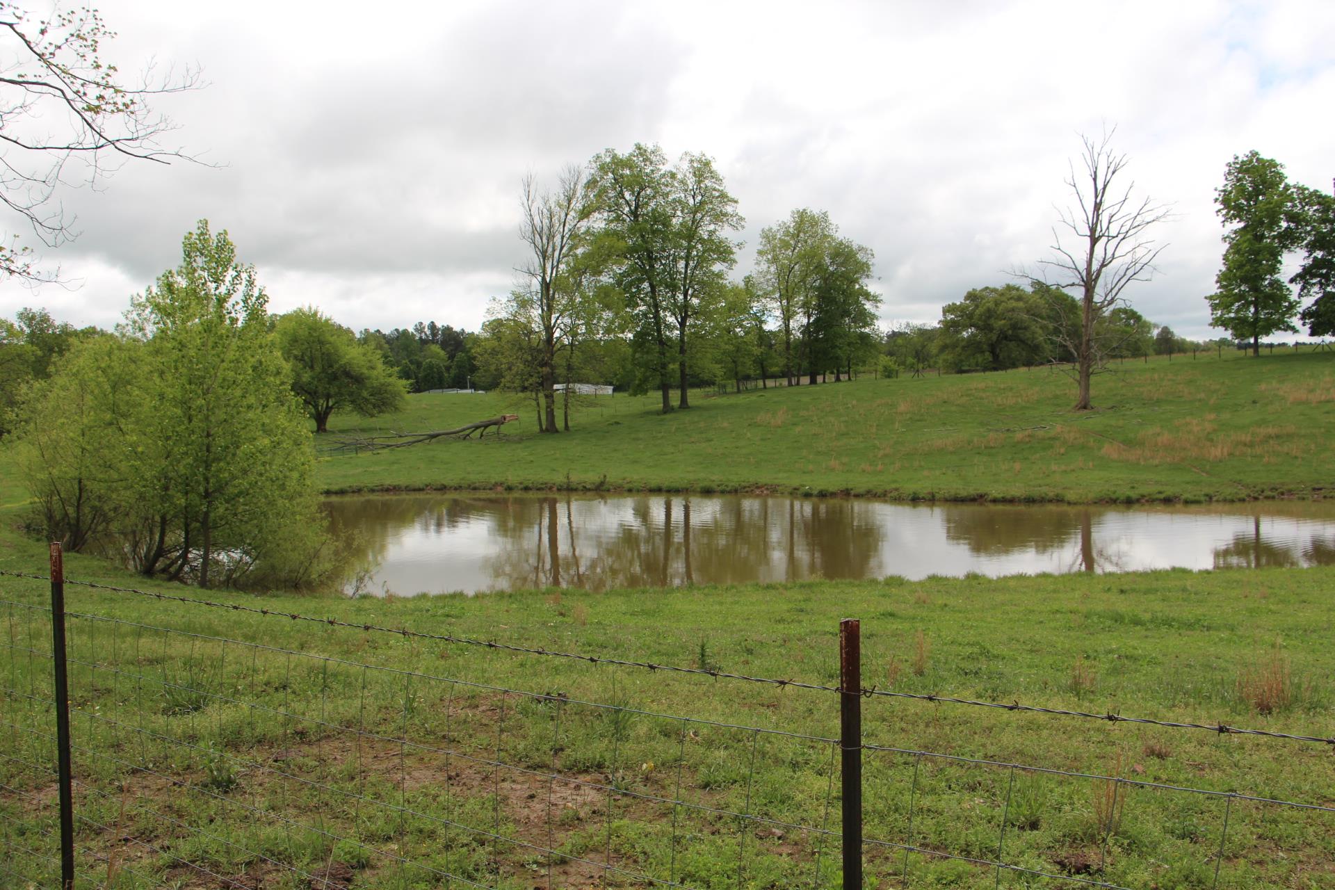 4800 Rock House Road Portland, TN 37148 - Photo 18 of 22