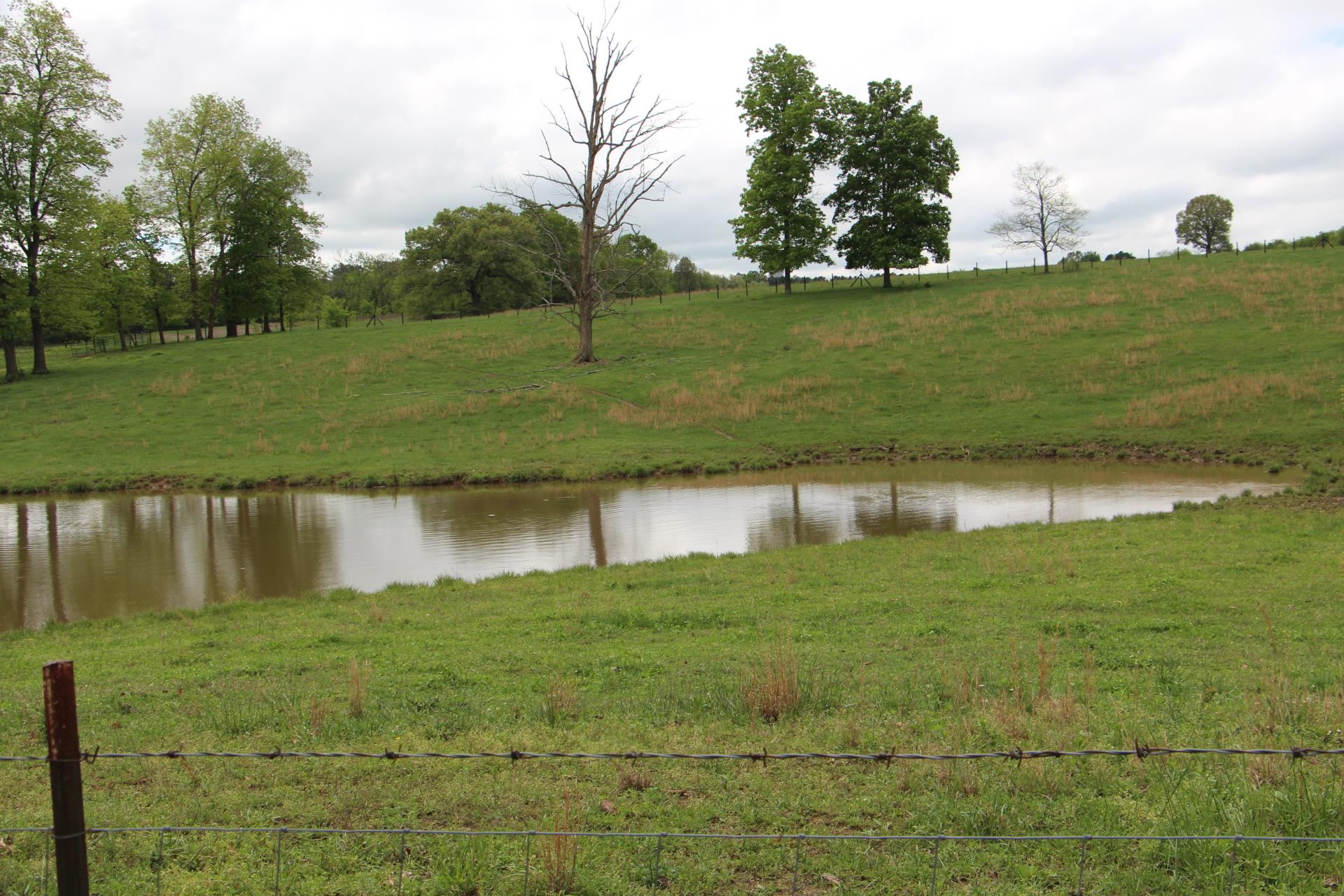 4800 Rock House Road Portland, TN 37148 - Photo 19 of 22
