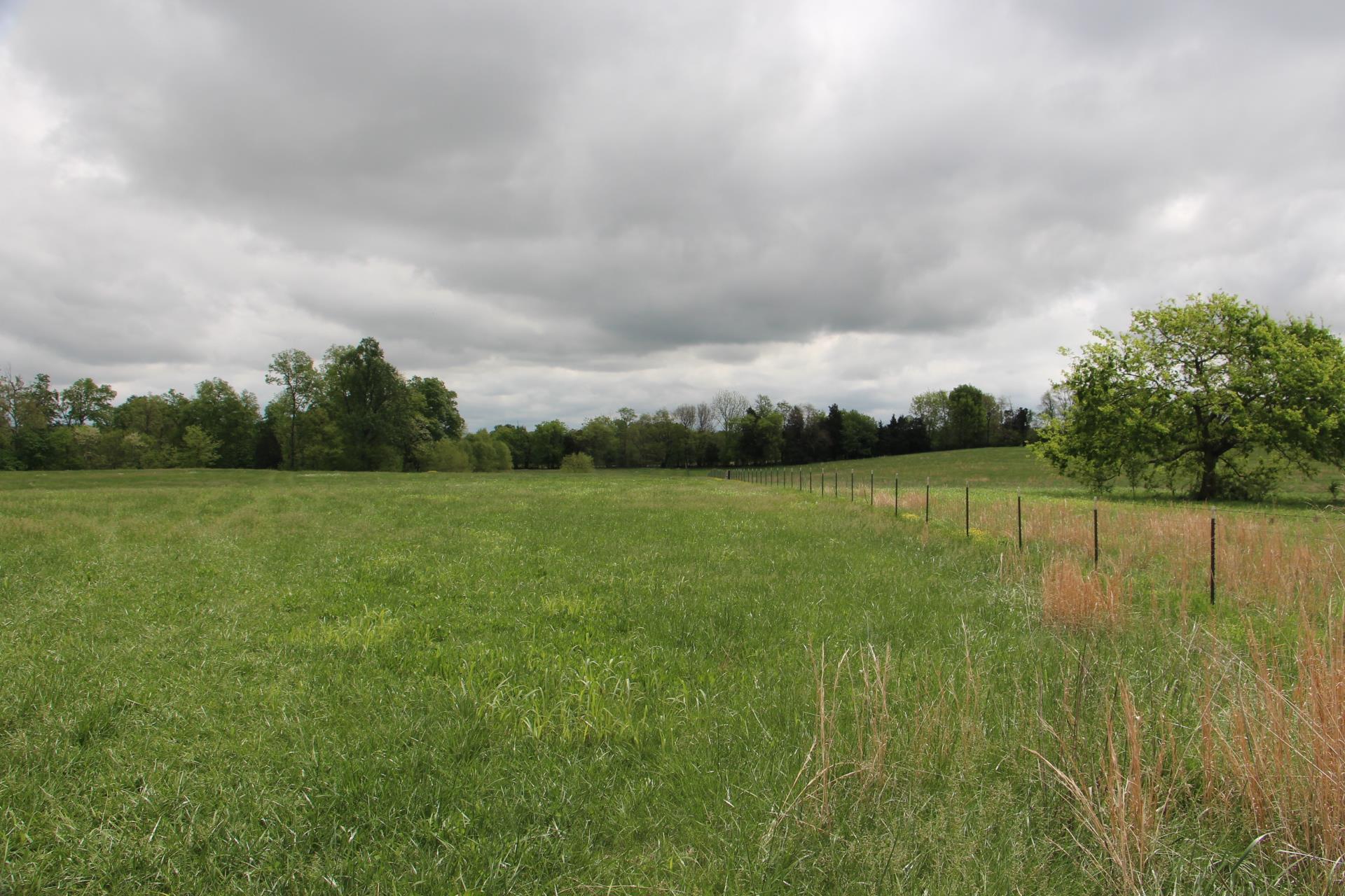 4800 Rock House Road Portland, TN 37148 - Photo 20 of 22