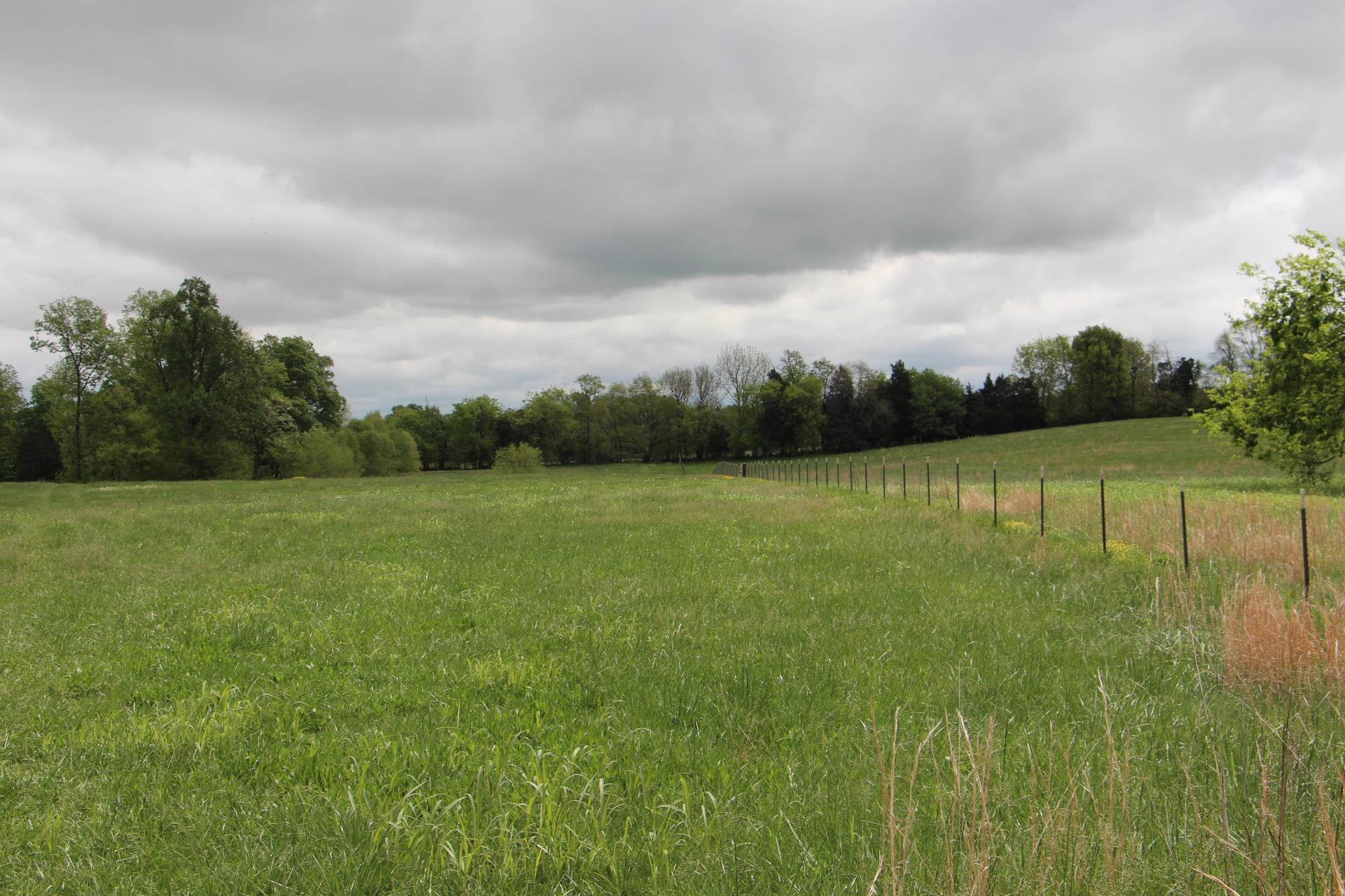 4800 Rock House Road Portland, TN 37148 - Photo 21 of 22