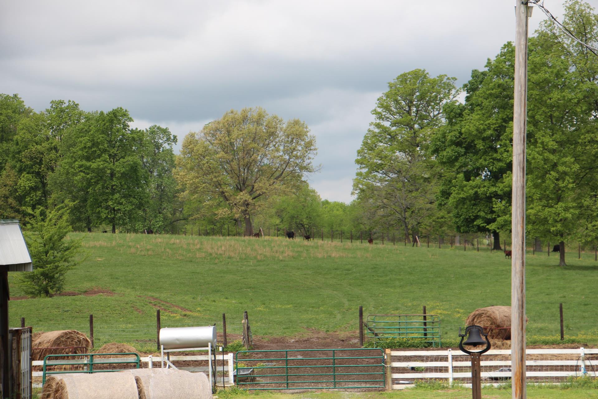 4800 Rock House Road Portland, TN 37148 - Photo 6 of 22