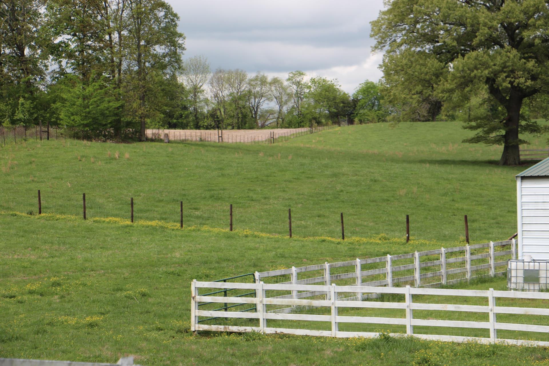 4800 Rock House Road Portland, TN 37148 - Photo 7 of 22